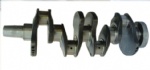 Caterpillar 3304 crankshaft